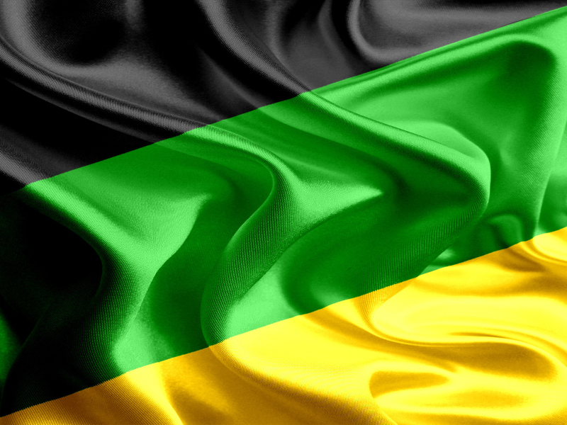 African National Congress flag