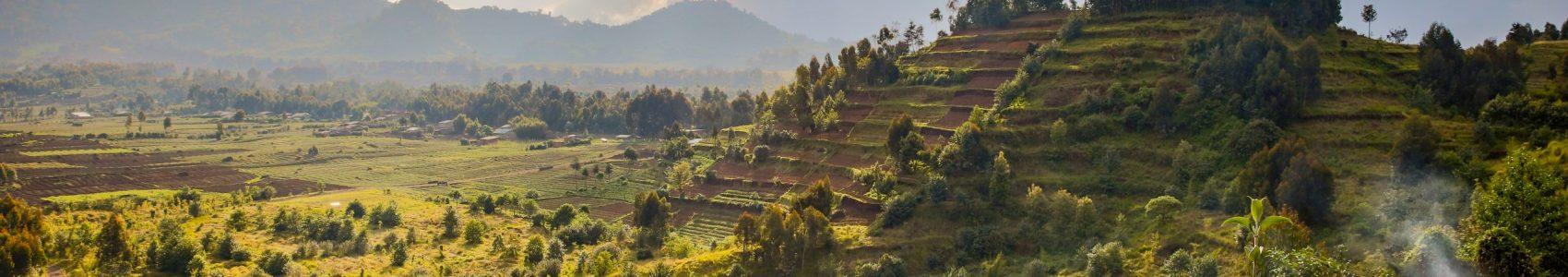 Rwanda volcanoes national park